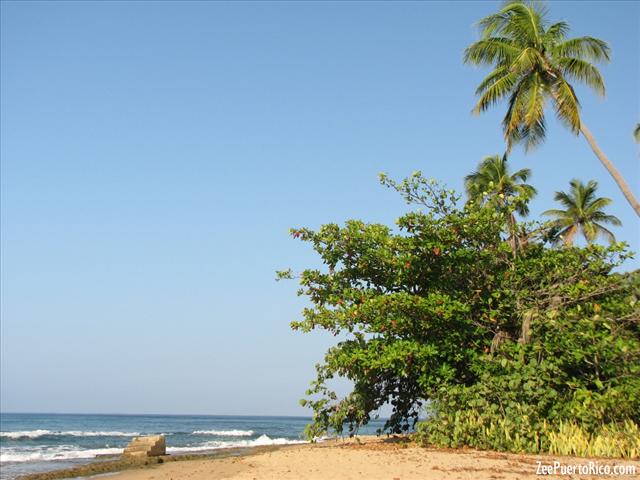 Playa Escalera - ZeePuertoRico.com